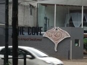 IMG_1538.jpg