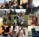 Pet Collage.jpg Pet Collage.jpg