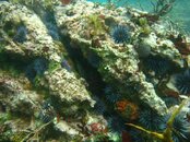 IMG_8187.jpg