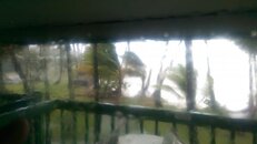 IMAG0201.jpg