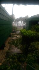 IMAG0223.jpg