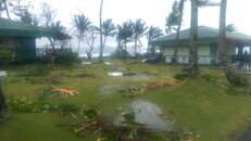 IMAG0233.jpg