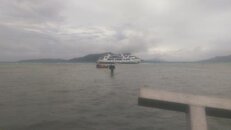 IMAG0241.jpg