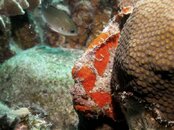 photo(10).jpg