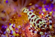 MG_1399-600x400.jpg