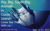 Giving Tuesday_Cocos Manta 4_14-2015.jpg