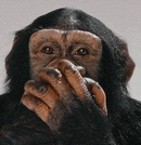 Monkey Speak No Evil.png