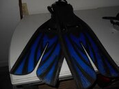 DSCN0668.jpg