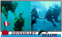 DiveHeart Below G2D.jpg