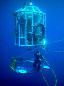 nautilusbelllockingout1.jpg