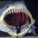 Ian Shark (1).jpg