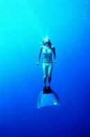 freediving 2.jpg
