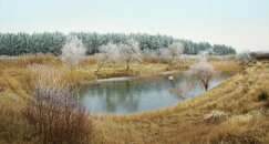 Staw_naturalny-1024x548.jpg