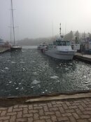 Toby Harbour Ice.jpg