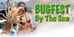 bugfesttop.jpg