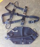 Harness and wing.jpg