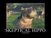 Skeptical Hippo.jpg