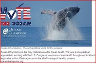 CaptureVote the ocean.JPG