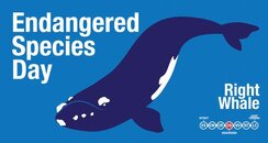 EndangeredSpecies day.jpg