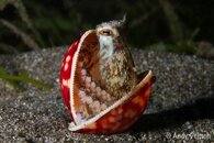 ImageUploadedByTapatalk1431809231.795593.jpg