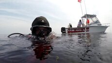 squalus 2.jpg squalus 2.jpg