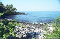 c000716.jpg