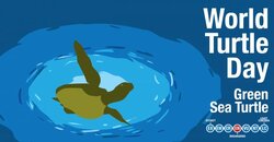 Turtleday-01.jpg