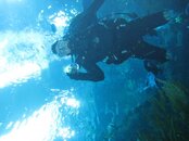 IMG_0373.jpg