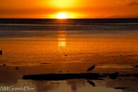 IMG_2685.jpg