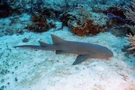 IMG_4572.jpg