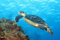 IMG_6767.jpg