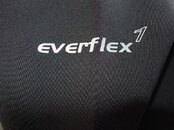 everflex logo.jpg