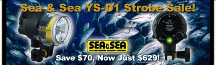 YS-D1-Sale.jpg