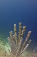 MICR0980.jpg