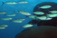 IMG_1573.jpg