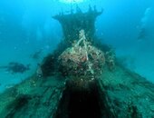 Liberty-Shipwreck-Tulamben-The-Best-Dive-Sites-in-Bali.jpg