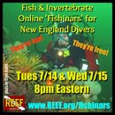 NEfishinars.jpg NEfishinars.jpg