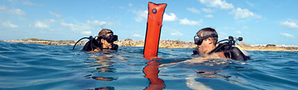 bimini_dr_sc-dam_286.jpg