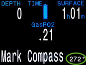 Mark Compass.jpg