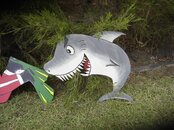 DSC07189 (Large).JPG