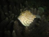 DSC07293 (Large).JPG