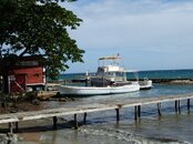 2008_1210Guanaja0043.jpg
