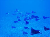 2008-03-08_21-56-40_0165.jpg