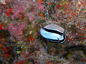 2008-03-15 23-54-19_0182.jpg