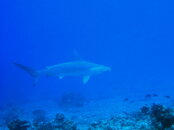 2008-11-22_21-47-15_0036.jpg