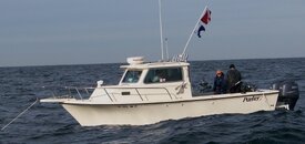 Pelican II (Kurn).jpg