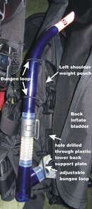 Snorkel_BCD.JPG
