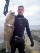 grouper.jpg