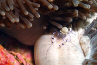 IMG_3064a.jpg