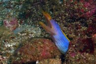 IMG_3156a.jpg